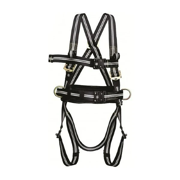 Kratos Fire Resistant 4 Point Full Body Harness + Safety Course