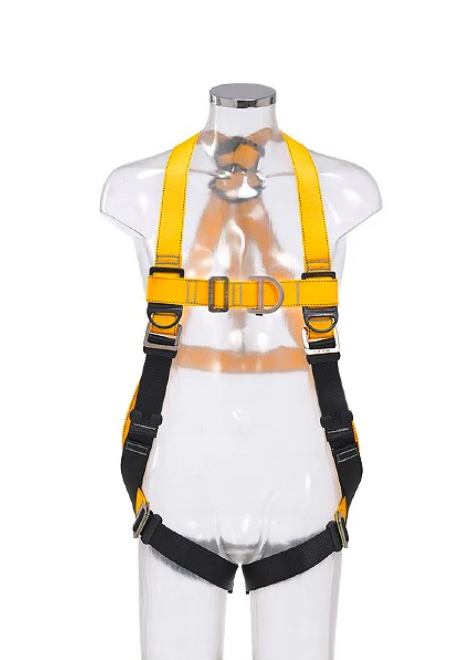 Guardian Series Full Body Rescue Harness with Pass-Through Buckles + Safety Awareness Course