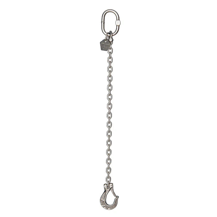 0.90 Ton Cromox Stainless Steel Single Leg Chain Sling with Clevis Sling Hook + Chain Sling Safety Awareness Course