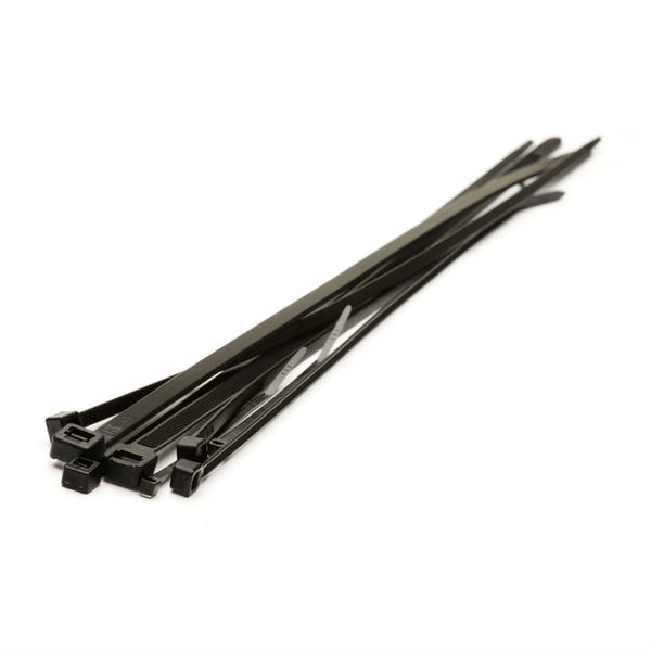 Nylon Cable Ties (x100)