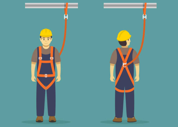 Safety Harness and Training Bundles