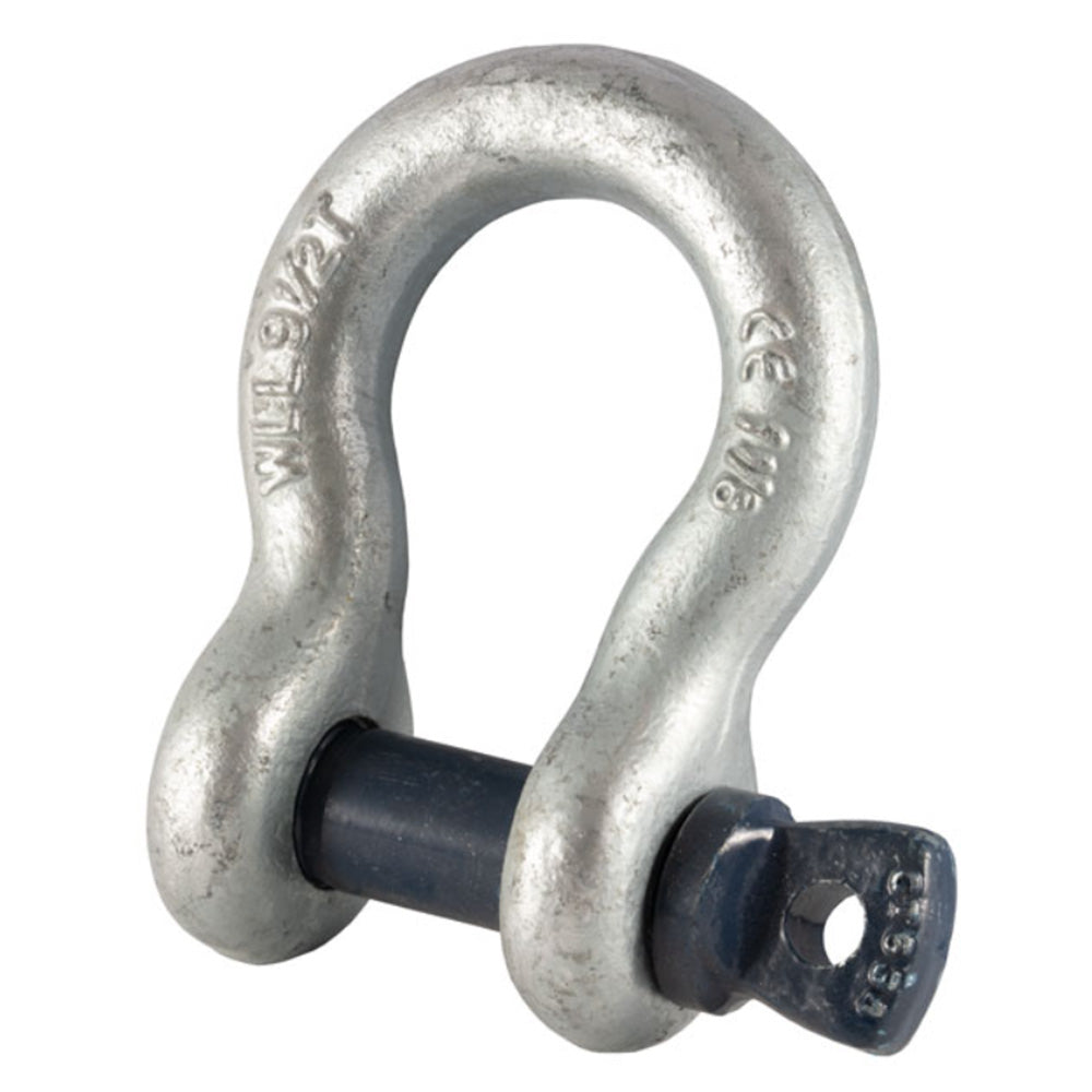 Blue Pin Bow Shackles with Screw Collar Pin image