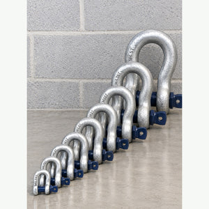 Blue Pin Bow Shackles with Screw Collar Pin size image