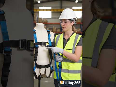 FallArrest Global MEWP Harness Kit