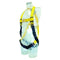 Guardian Series 2-Point Full Body Harness with Pass-Through Buckles
