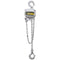 William Hackett CP-C4 Chain Hoist - Corrosion Protected